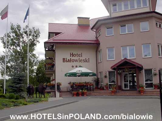 Hotel in Bialowieza - Hotel BIAOWIESKI, Bialowieza